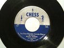MUDDY WATERS I'm Your Hoochie Coochie Man, Rare Blues 45, Chess 1560 ex. cond.
