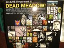 Dead Meadow Got Live If You Want It orangefarbene Vinyl LP