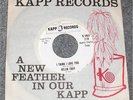 ? Rare WLP Northern Soul HELEN TROY 45 - I THINK I LOVE YOU on KAPP RECORDS 