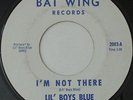LIL' BOYS BLUE I'm Not There BAT WING Garage Psych 45 *HEAR* MP3