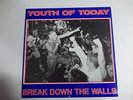 YOUTH OF TODAY - BREAK DOWN THE WALLS  LP  WISHINGWELL RECORDS W/ INSERT