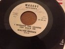 Deep Soul Sir Shambling-Walter Rhodes Mascot Wldj