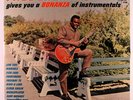 FREDDY KING: A Bonanza Of Instrumentals (rare blues & r&b vinyl LP)