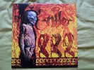 NILE Amongst The Catacombs Of Nephren-Ka death metal LP