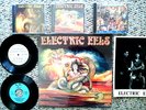 ELECTRIC EELS VINYL LP AND COMPLETE DISCOGRAPHY 6 DISCS  PLUS AUTOGRAPHED PHOTO