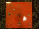 Animal Collective  - Hollinndagain Vinyl LP Panda Bear