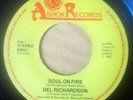 Del Richardson SOUL ON FIRE GHANA DUTCH BOOGIE FUNK 7 INCH