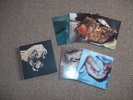 Pixies Death to the Pixies Limited Edition 10