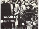 Shadows Of Knight - Gloria / Dark Side Unique 1966 Swedish only PS  VG+