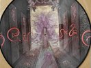 PENETRALIA - HYPOCRISY - PICTURE DISC - MINT