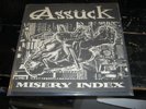 ASSUCK misery index LP SOUND POLLUTION napalm death grind
