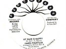 FUNK  - JAMES FOUNTAIN  -- MY HAIR IS NAPPY