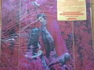 Captain Beefheart & His Magic Band ?