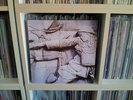 Piano Magic - Artists' Rifles (Vinyl LP) Rocket Girl UK RARE
