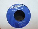 INS AND OUTS LITTLE CHARLIE // MOON MIST SURF GUITAR HOT ROD GARAGE 45