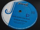 Junior Murvin Cool Down The Heat Rare Killer Digi 12