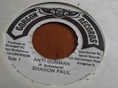 Shadow Paul Anti Gunman Dandy Lion Rare Killer Digi 7