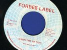 2012  VIVIAN JACKSON-PROPHET-WARN THE NATION-FORBES-REGGAE 45 7