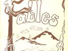 Fables LP self-titled private pressing obscure folk rock Mint vinyl