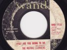 Garage Punk Psych 45 - MOVING SIDEWALKS - 99th Floor / What Are You Going To Do