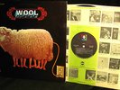 M- RARE 1969 Orig   WOOL   HARD ROCK POPSIKE FUNK FUZZ + FEM VOCS   BIG BROTHER