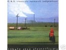 CSI CONSORZIO SUONATORI INDIPENDENTI TABULA RASA vinile omaggio CSI BOOK