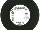 RARE 45 RPM, The Royal Five, Arctic Records 160 Promo, Peace Of Mind/Aint No Big