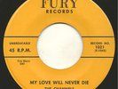 RARE & GREAT DOO WOP 1ST PRESS 45 