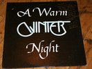 A Warm Winter Night by WINTER  California Modern Soul Funk LP Signed