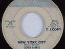 Northern Soul 45 SIDNEY BARNES New York City BLUES TONE HEAR