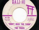 The Trees - Don't Miss The Turn - Bali-Hi -  1967 NJ garage / psych 45