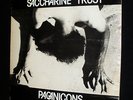 SACCHARINE TRUST: PAGANICONS, VINYL EP, INSERT, JACK BREWER, JOE BAIZA, N. MINT+