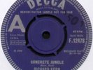 RICHARD KERR   CONCRETE JUNGLE   1966 UK DEMO 7