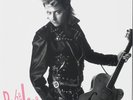 The Stray Cats BRIAN SETZER 