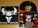 Venom live 7