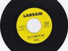 LARSAM 12739- TOPPIKS- GIVE IT A CHANCE TO GROW- PHILLY SOUL