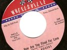 Rare Detroit Northern Soul 45: Lee Rogers - How Are You Fixed For Love – Wheelsv