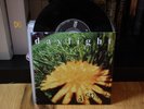DAYLIGHT Dispirit 7
