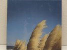 Jimmy Eat World - Static Prevails - Vinyl LP Record Still Sealed OOP w/ 7