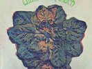 ULTIMATE SPINACH SE 4518 ORIGINAL PRESSING PSYCHEDELIC BOSSTOWN SOUND GATEFOLD
