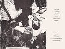 HARRY PUSSY In An Emergency You... LP NM/OOP HC Punk NOISE Siltbreeze TERMBO