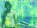 BOARDS OF CANADA - the Campfire Headphase 2LP MINT & UNPLAYED