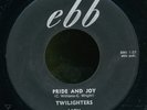 pc45-R&B vocal group-Ebb 117-The Twilighters