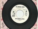SEPTEMBER JONES - WHITE DEMO