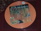 Slayer Original Vintage Limited Numbered Picture Disc LP   Hell Awaits