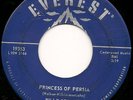 Billy Grammer EXOTICA POPCORN 45 Princess Of Persia EVEREST 19353 LISTEN