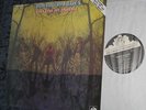 LP AMERICAN BLUES: do their thing (pre-ZZTop, seeformiles)