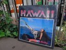 HAWAII The Natives Are Restless LP Sealed Megadeth SS Vixen Marty Friedman Metal