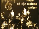 Forgotten Woods-As the Wolves Gather RARE NORWEGIAN Strid Joyless Darkthrone
