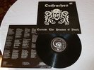DESTRUCTORS EXERCISE THE DEMONS OF YOUTH LP 1982 Amebix Skeptix Misfits Punk KBD